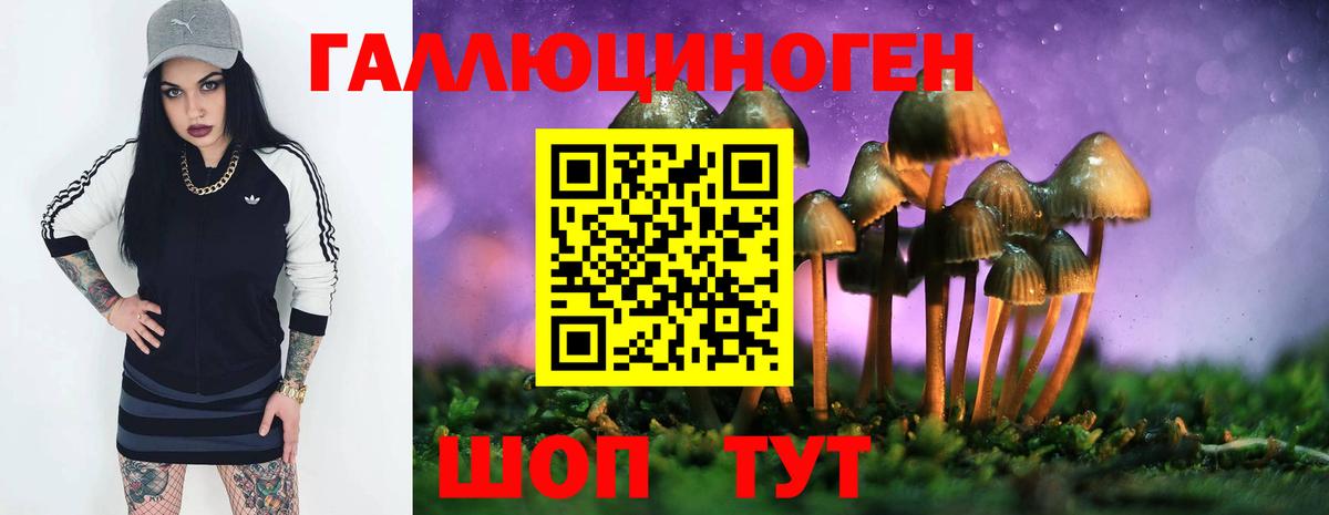 Галлюциногенные грибы Psilocybine cubensis Железноводск