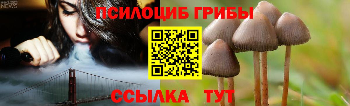 Псилоцибиновые грибы Magic Shrooms  Вход с VPN  Псилоцибиновые грибы мицелий  Железноводск 